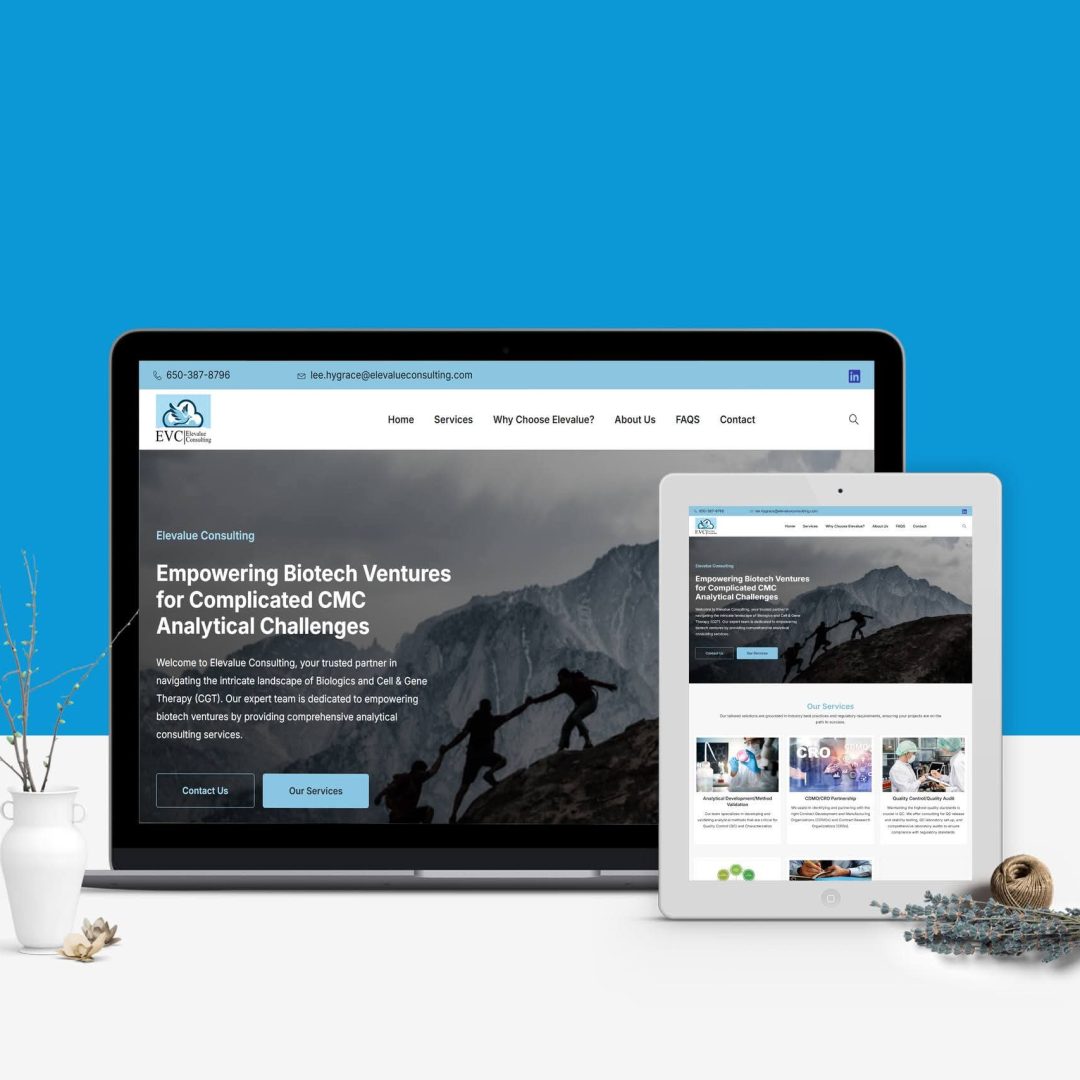 Wordpress experts, WordPress specialist, Hire a WordPress developer, WordPress developer, WordPress website developer, WordPress website, WordPress development services, WordPress development agency,